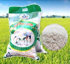 Gạo Điền Tín Hương Sữa R20