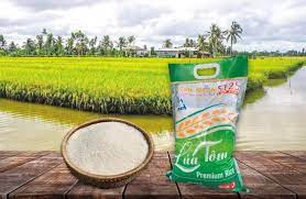 Gạo lúa tôm